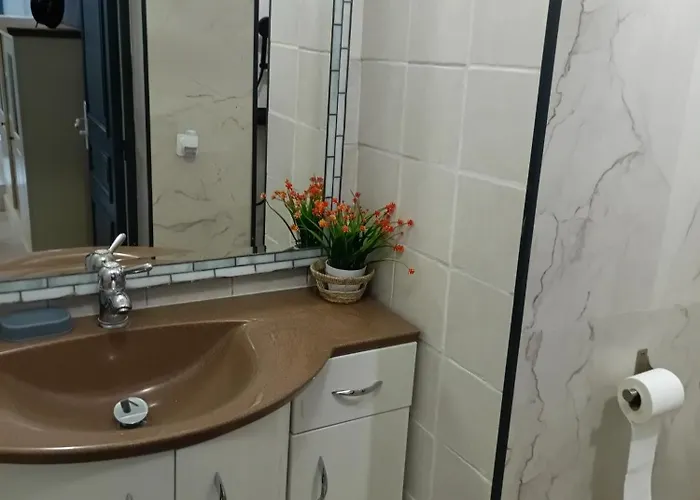 3 Pieces Avec Terrasse Ideal Famille Μεντόν